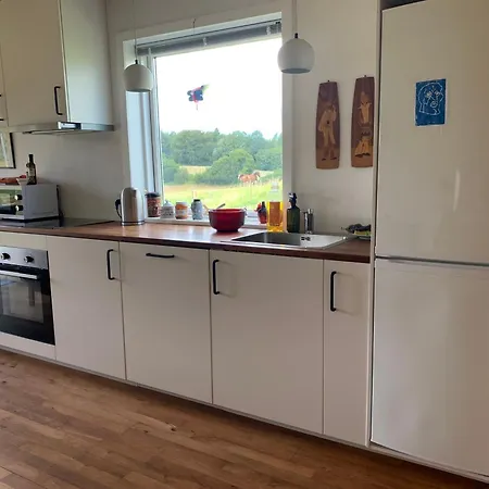 Feriehus Tiny House Premium Vissenbjerg